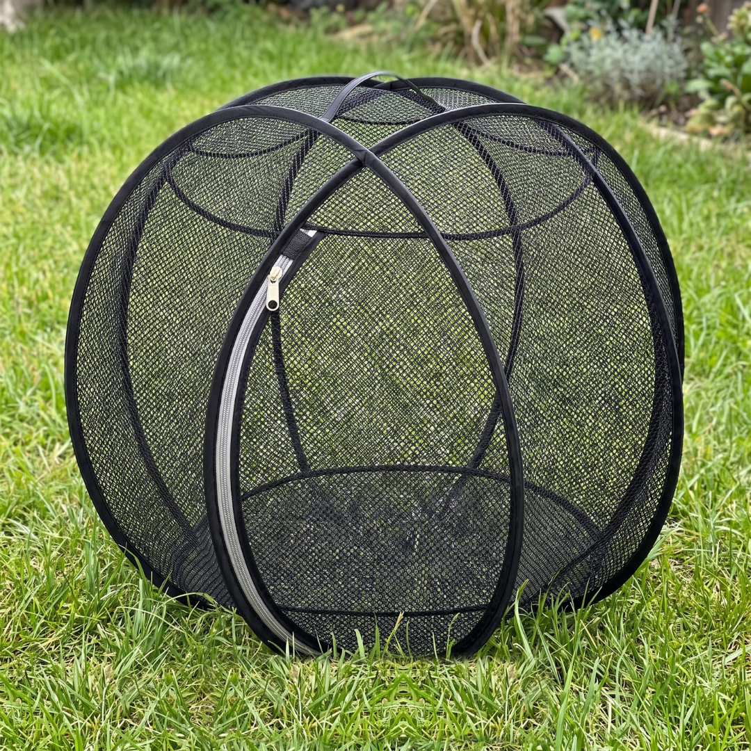 Mew Orbit™ - Outdoor Pet Playpen - Black
