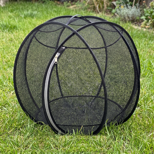 Mew Orbit™ - Outdoor Pet Playpen - Black