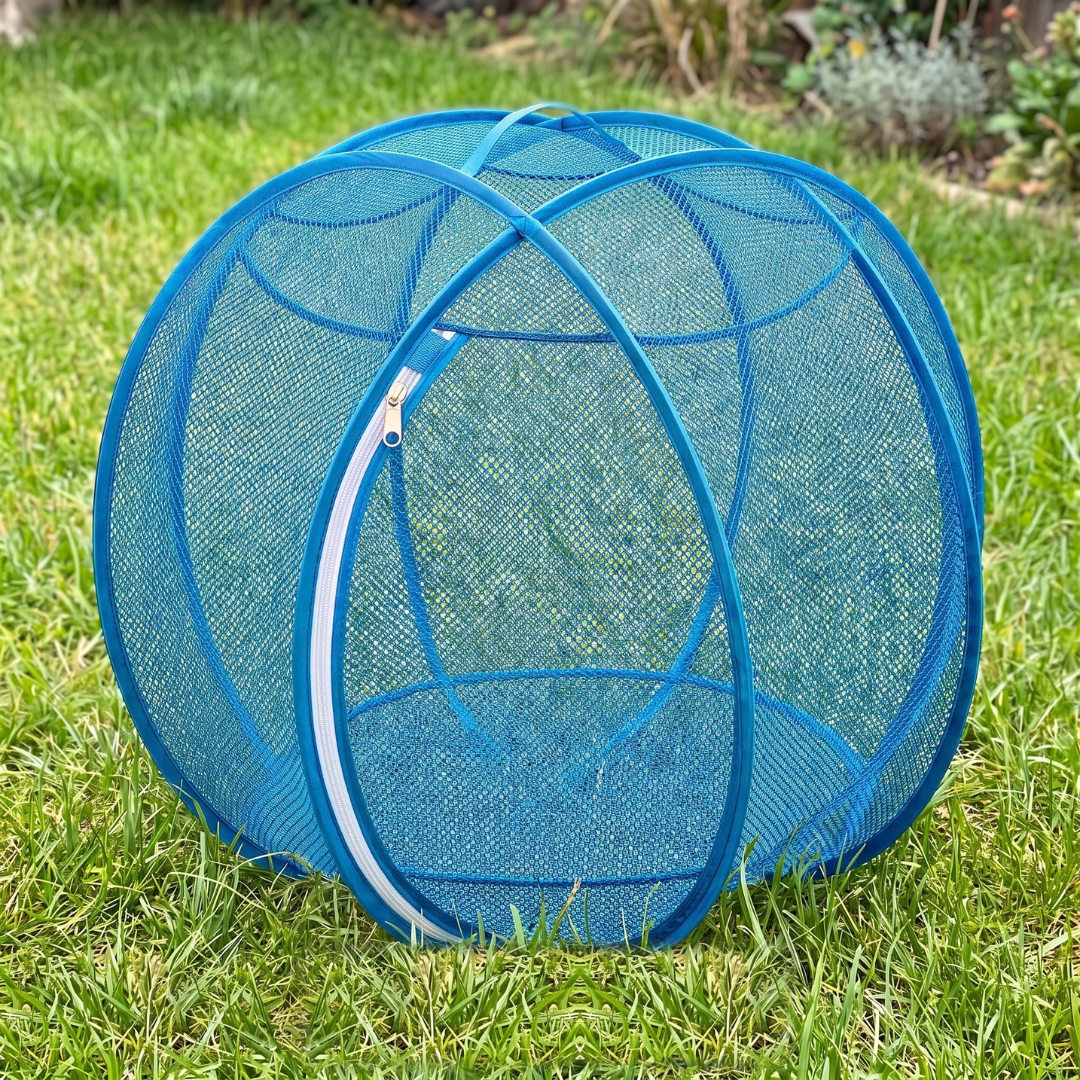 Mew Orbit™ - Outdoor Pet Playpen - Blue